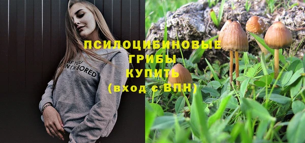 мдма Богданович