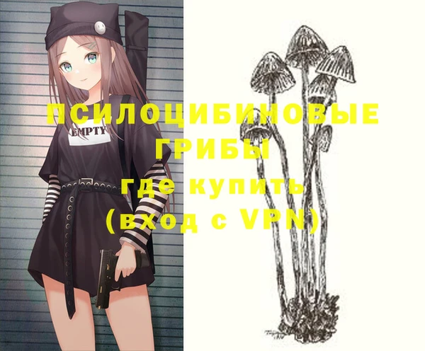 мдма Богданович