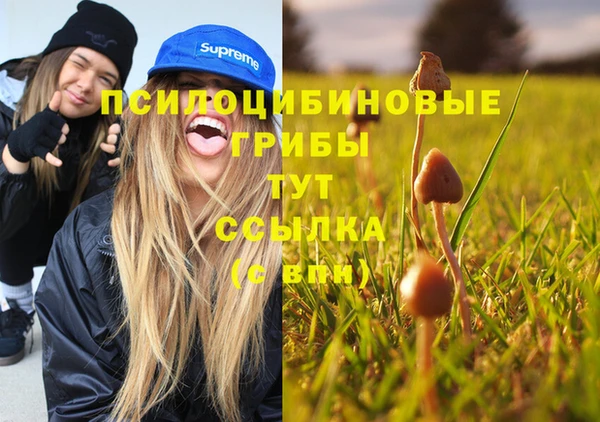 мескалин Богородицк