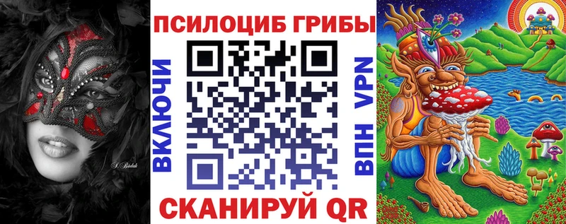 ОМГ ОМГ ТОР  Надым  Псилоцибиновые грибы Psilocybine cubensis 